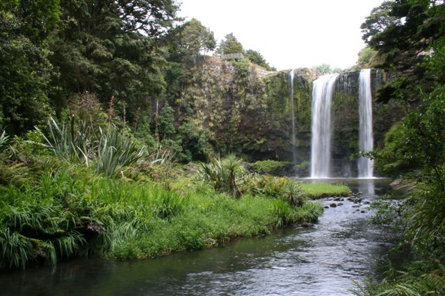 Whangarei Falls (Photo by Wikimedia)